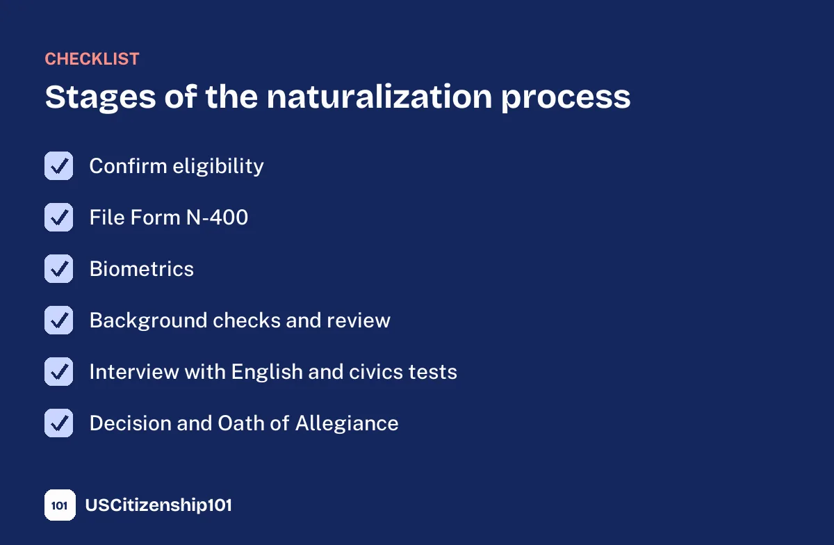 The stages of the naturalization process