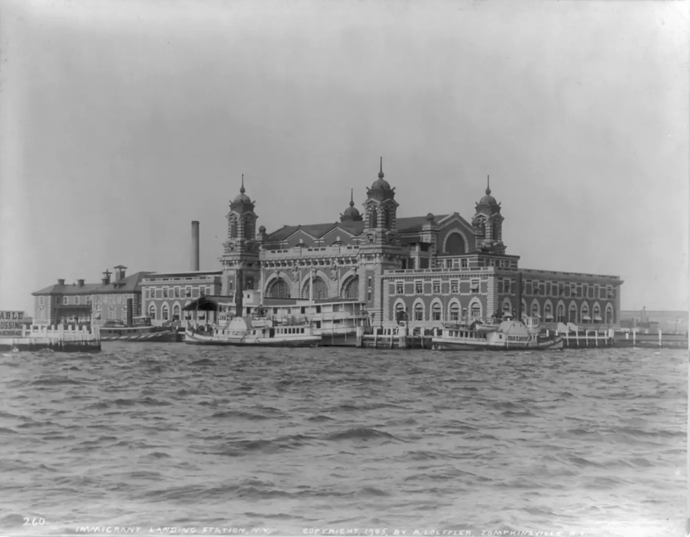 Ellis Island en 1905, donde muchas familias empezaron el camino que llevó al proceso de naturalización